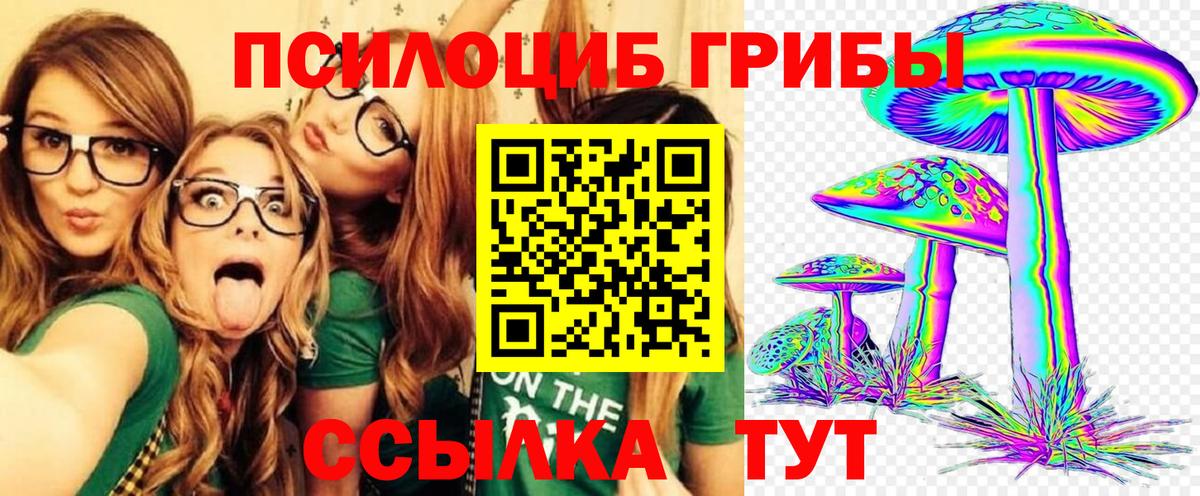 Псилоцибиновые грибы мухоморы Муром