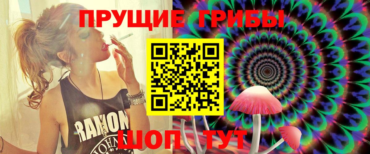 Муром  Галлюциногенные грибы MAGIC MUSHROOMS  Вход с VPN 